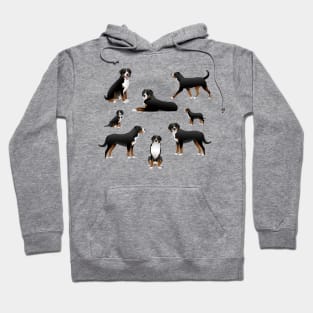 Sennenhund dog set Hoodie